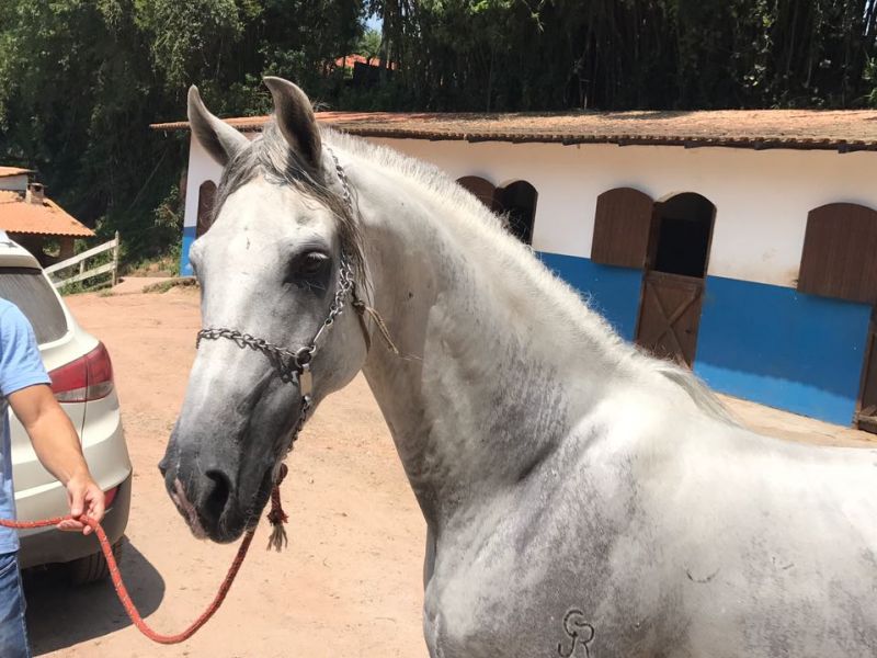 GAIATO DA ESM