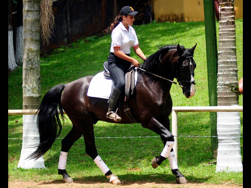 HERMES DO CASTANHEIRO