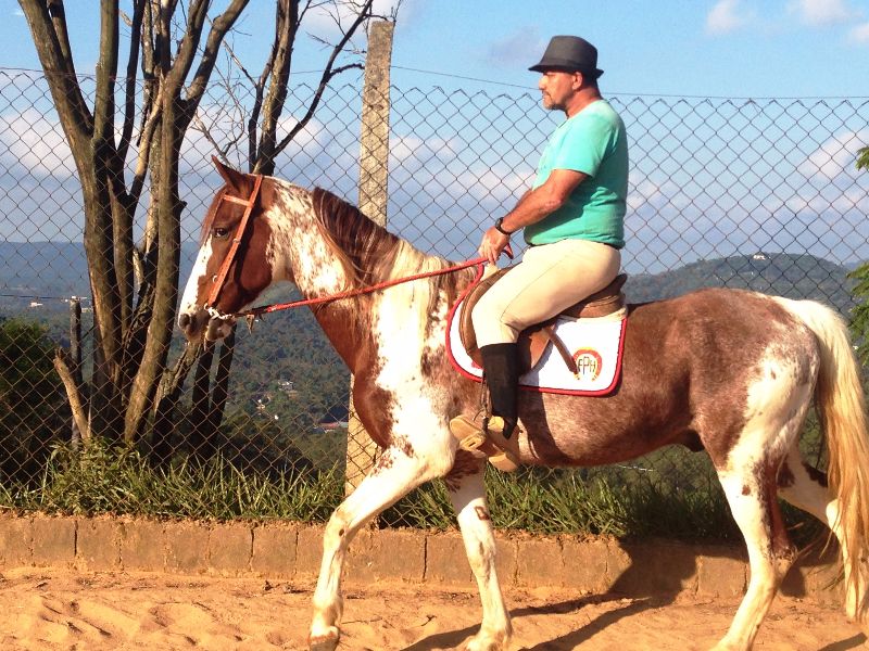 DESEJO VHC