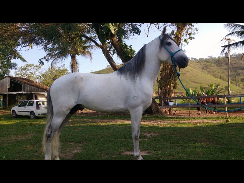 JUPARANÃ DO JUPARANÃ 