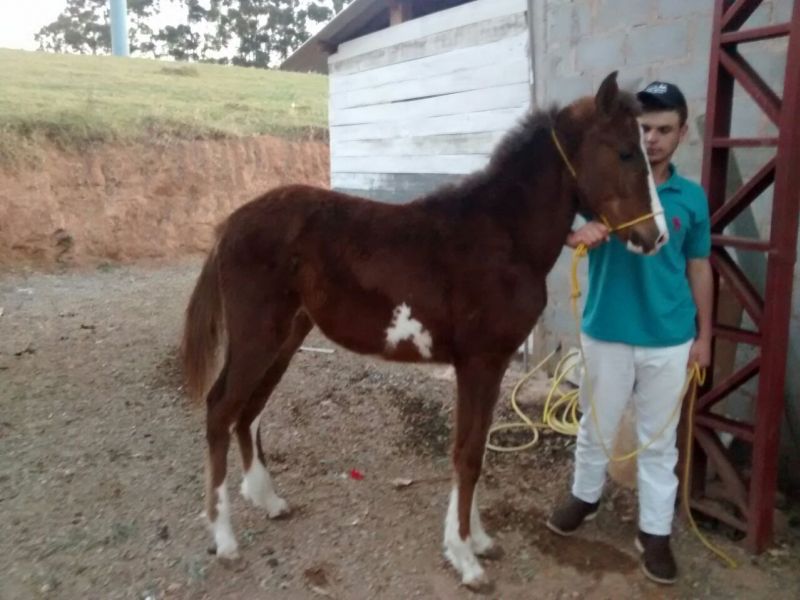 GENERAL DO LFT