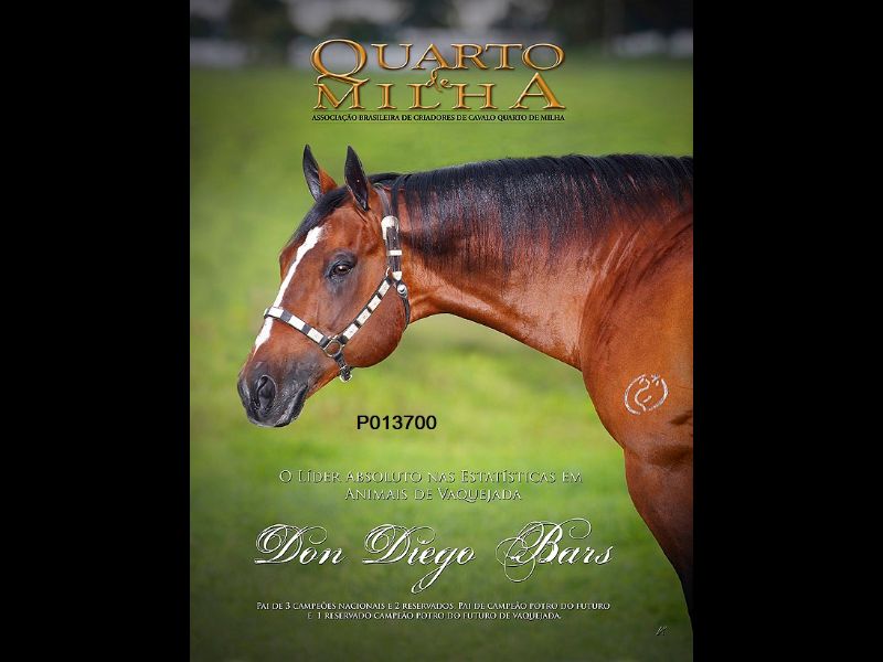 DON SCOTCH BAR HJG X URANIA LIDER