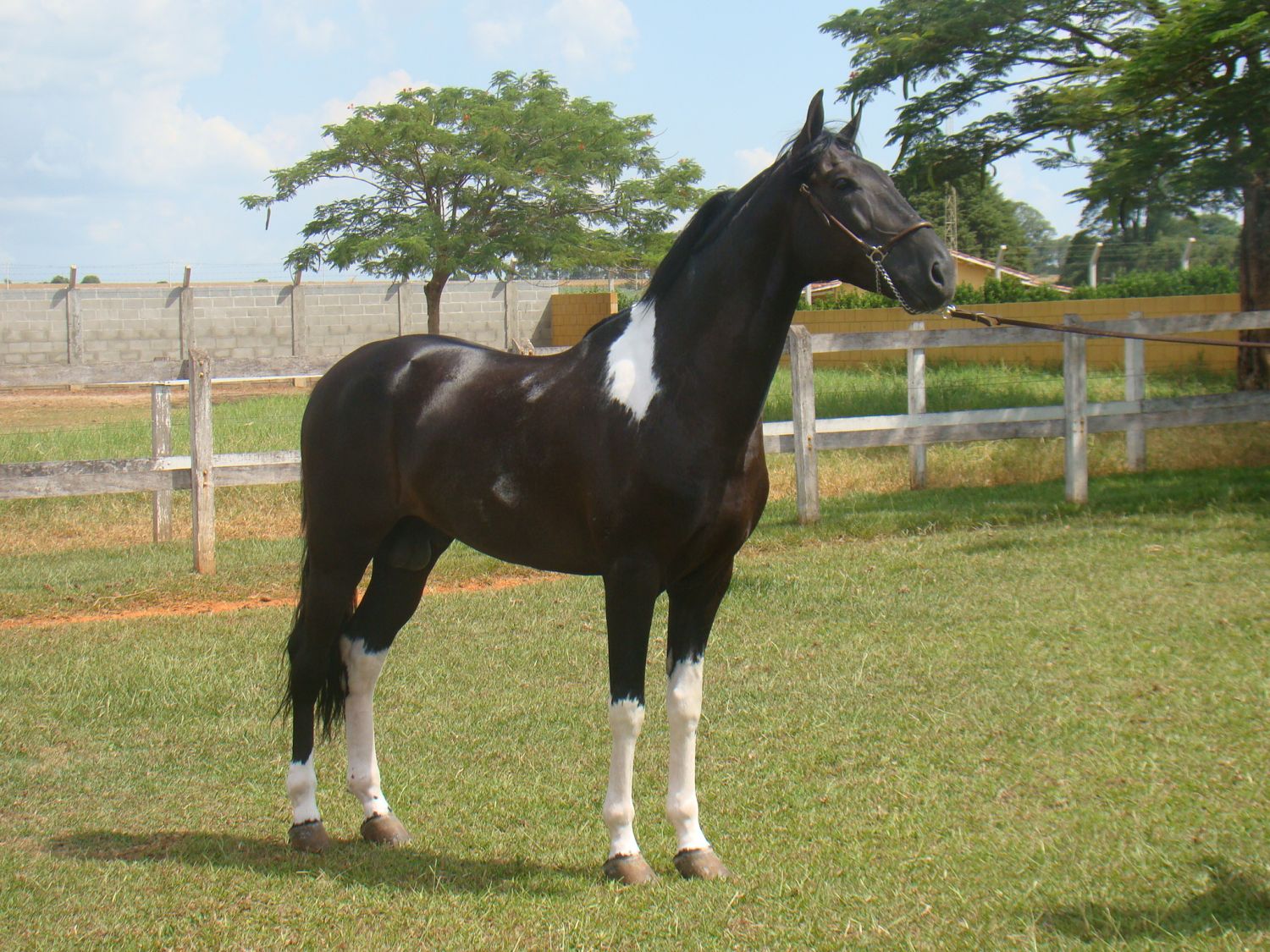 JABAL ATR