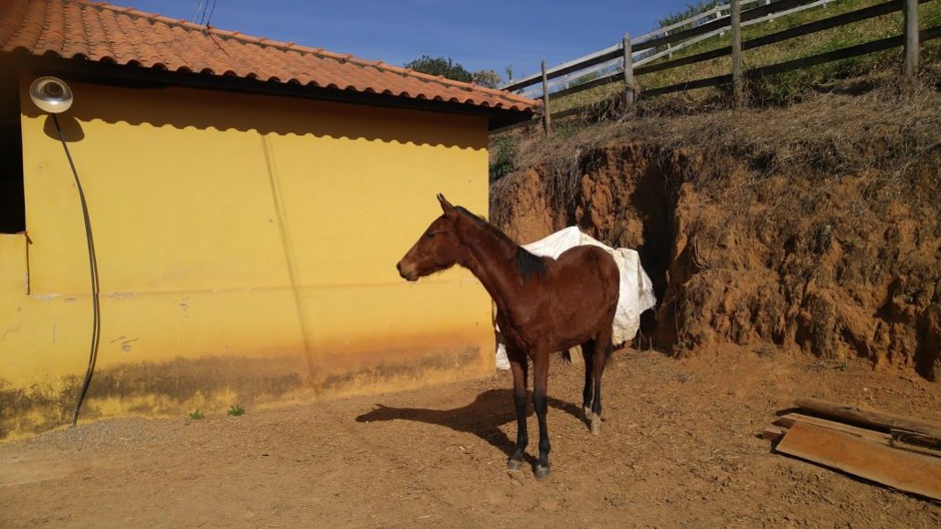 ECLIPSE DO RANCHO FUTURO