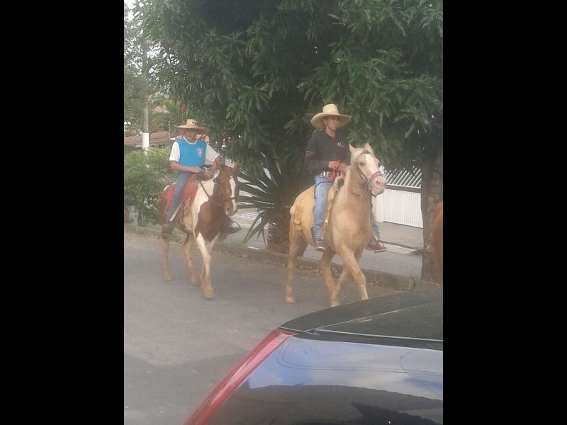 TROVÃO