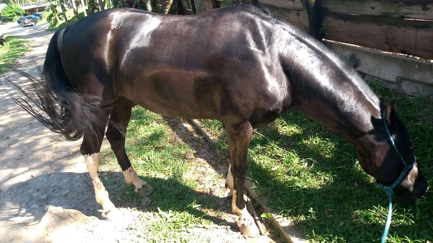 MANGA LARGA MARCHADOR PRETO 