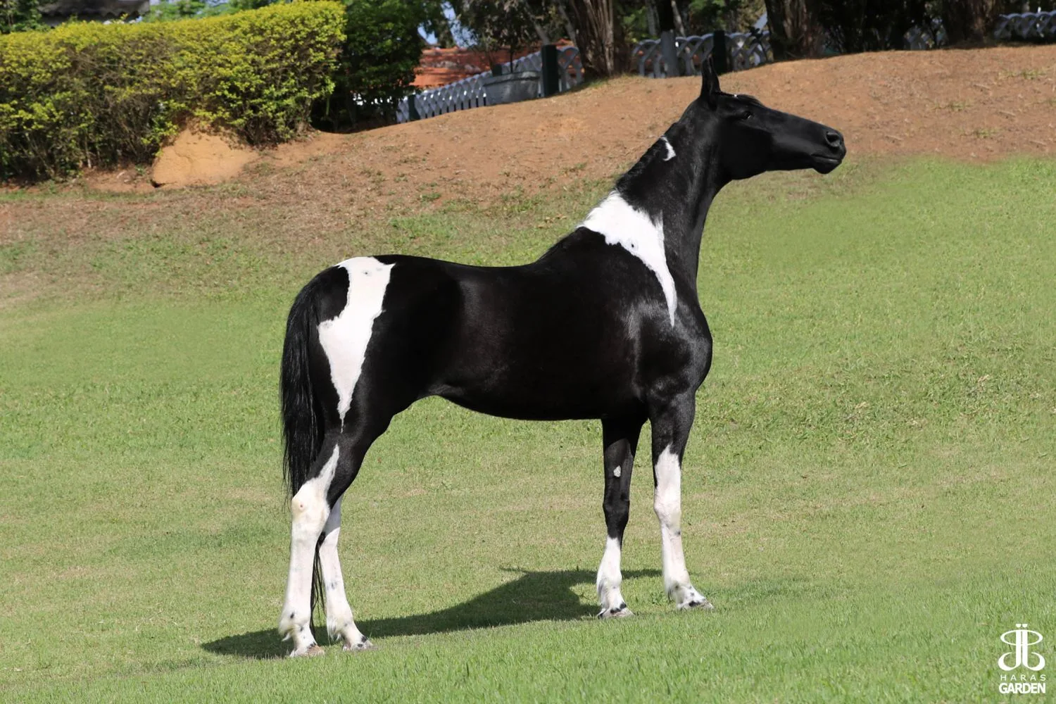 RIVIERA TRES REYS