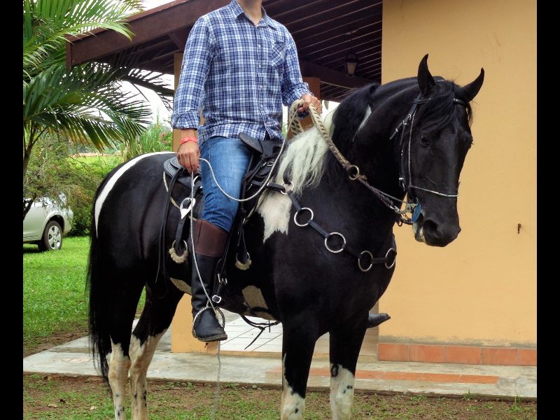 FUTURO SANTA FÉ
