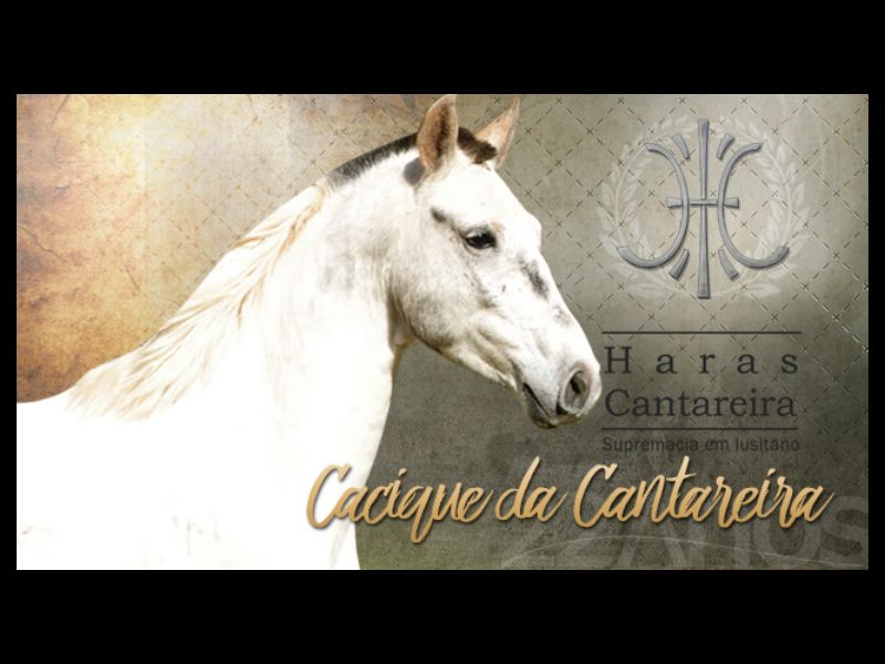 CACIQUE DA CANTAREIRA