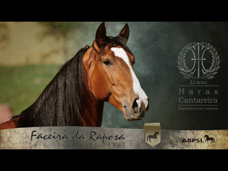 FACEIRA DA RAPOSA