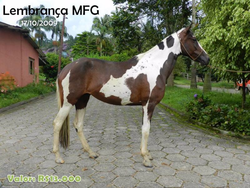 LEMBRANÇA MFG