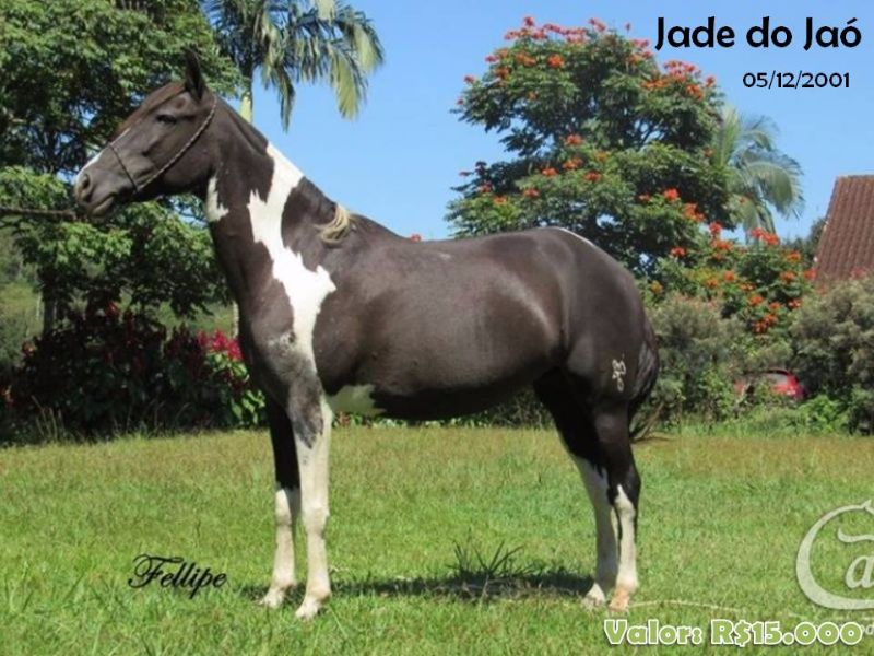 JADE DO JAO