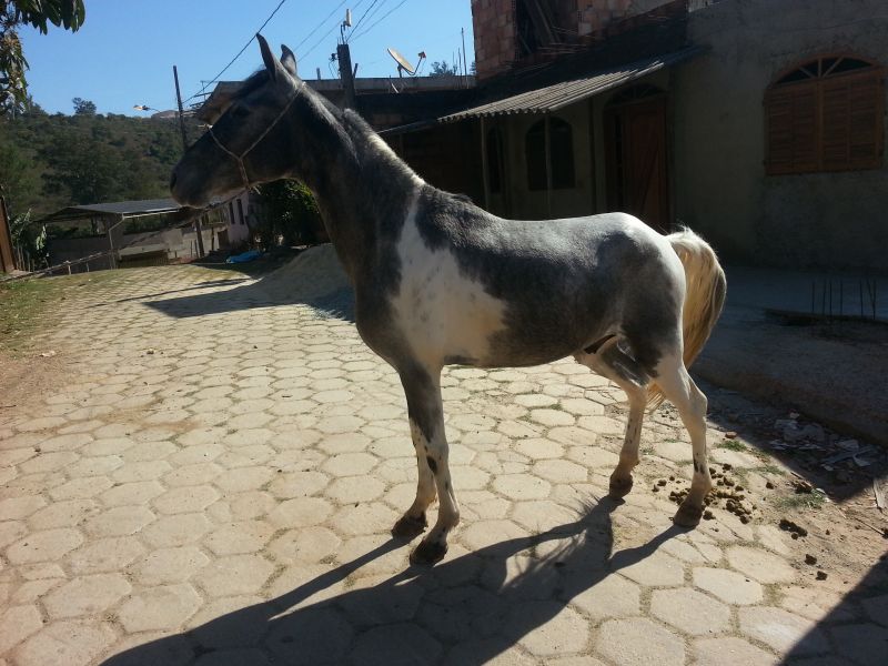 ARDUUS 