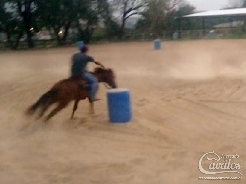BULLY BACK FINISH K