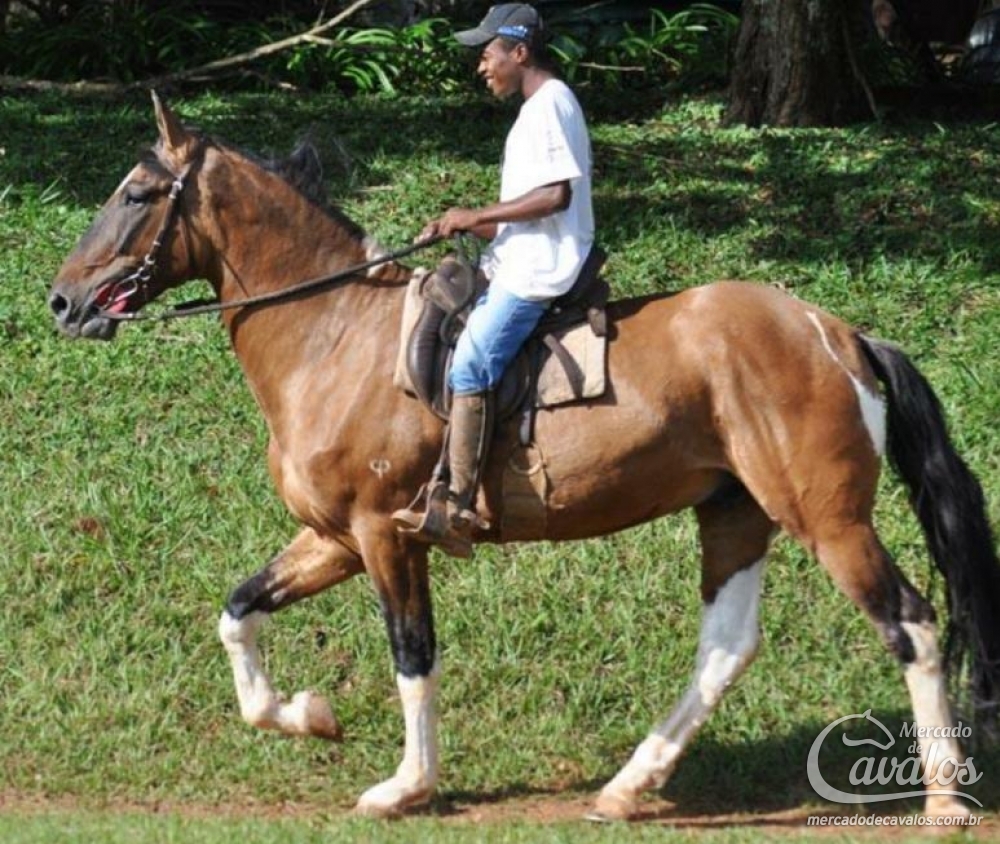 GALANT DE VILLA SAO JOSE