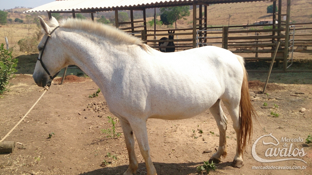 PAQUITA 3.M