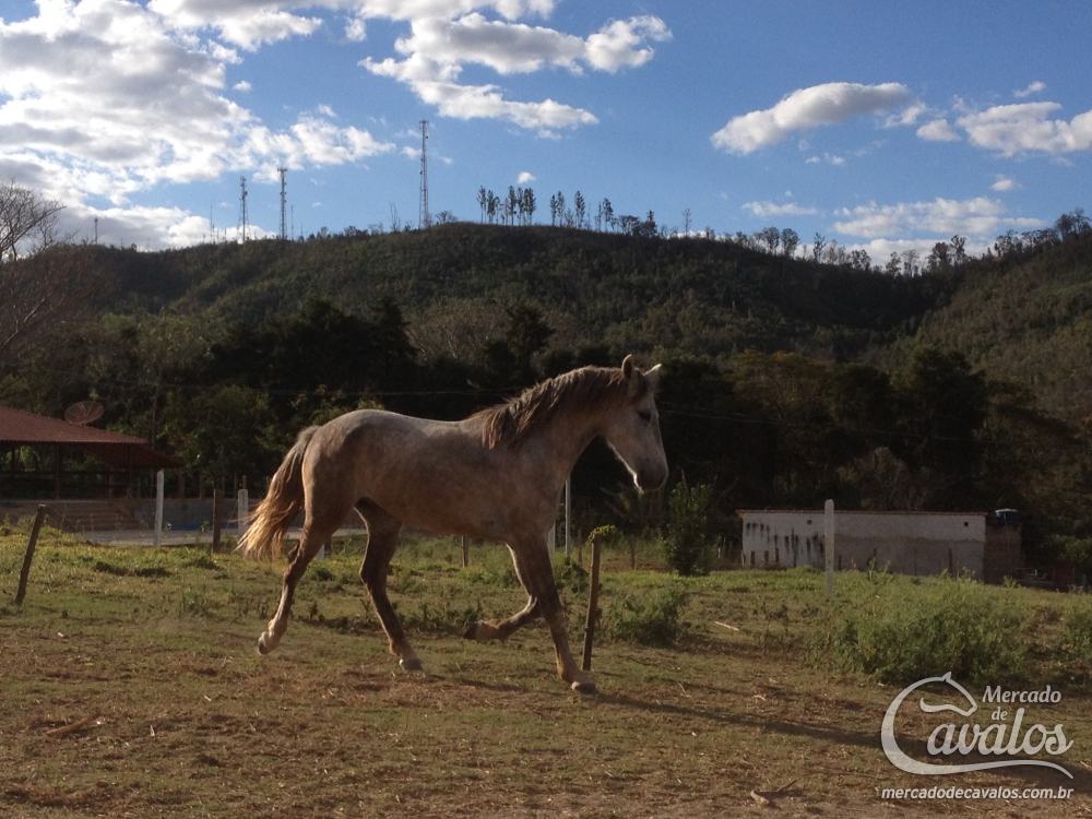HERÓI