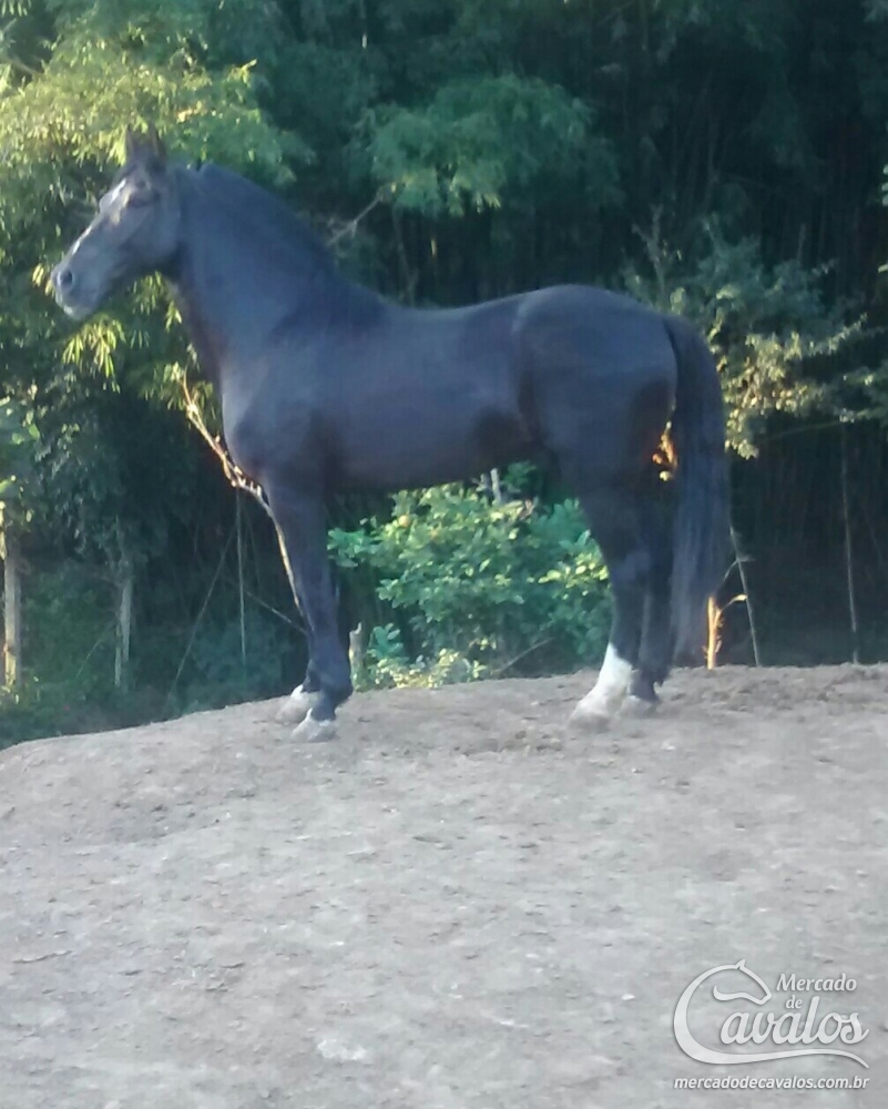 BARACK DO RANCHO JF