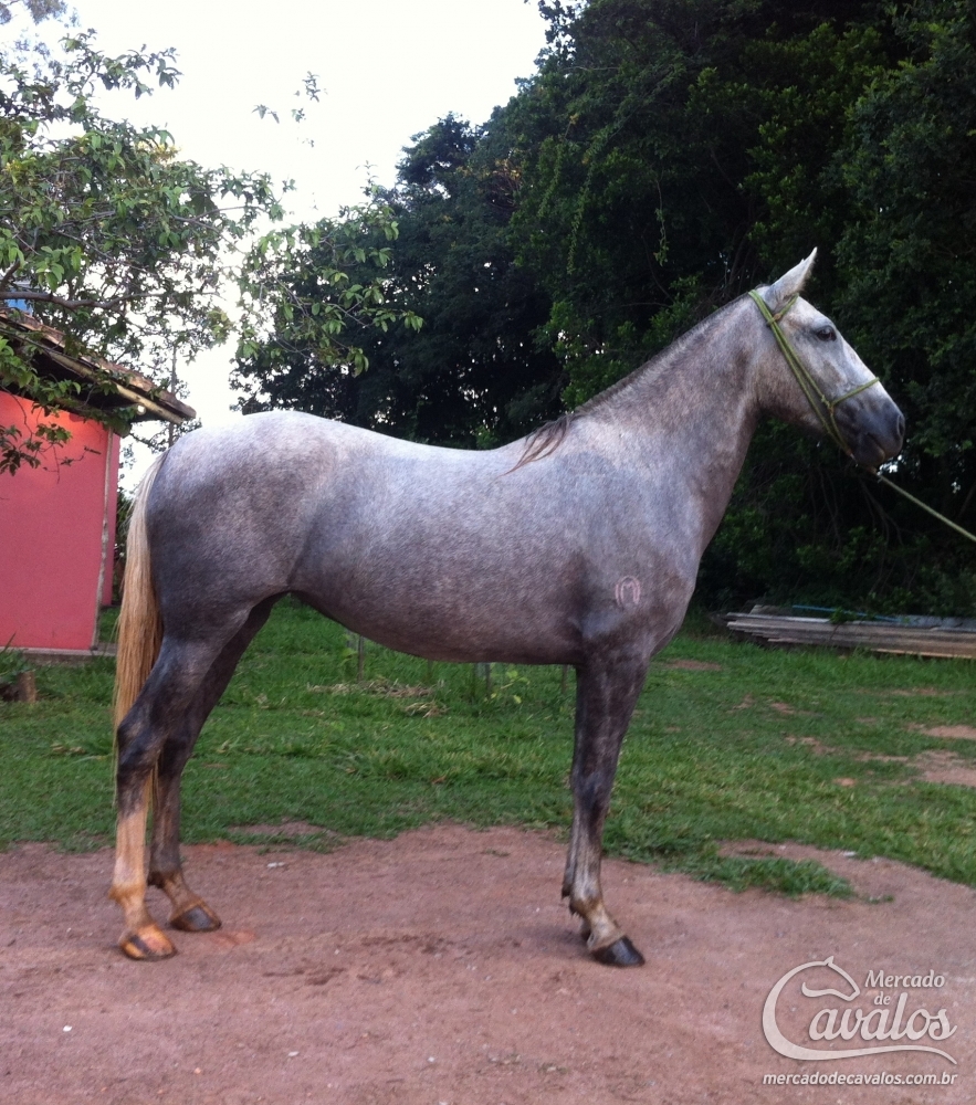 PARCEIRA E.A.O