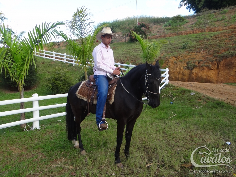BLACK DO RANCHO DO LEÃO