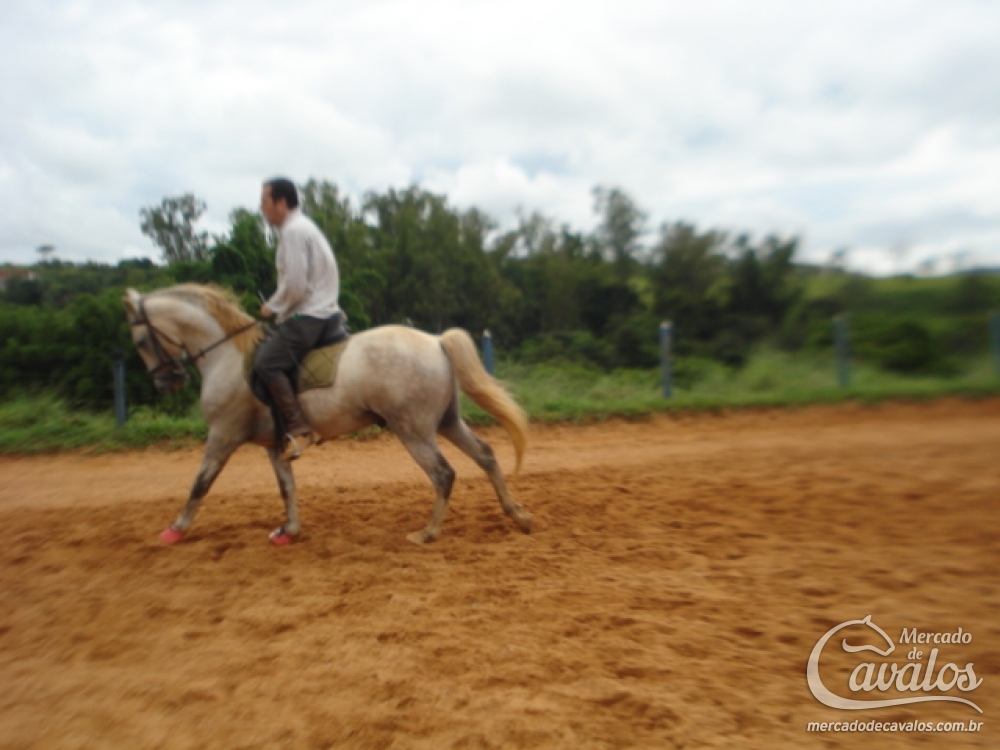 FORMOSO DO AGUILAR
