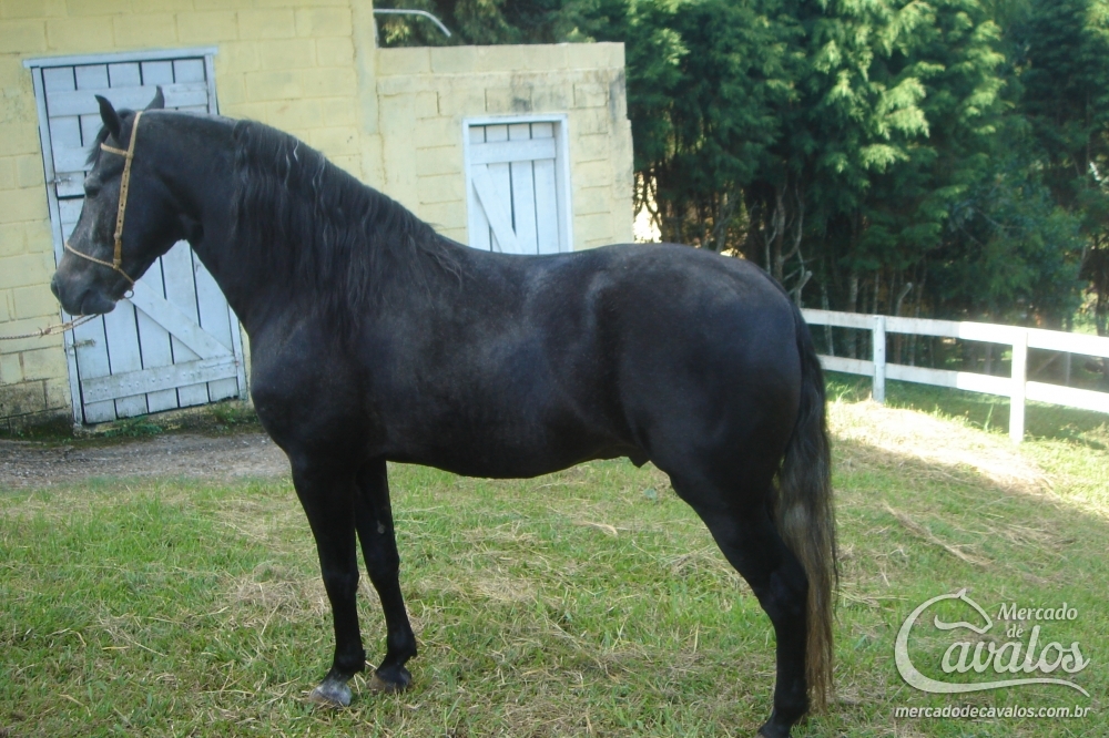 ZIAH DO RANCHO SÃO FRANCISCO