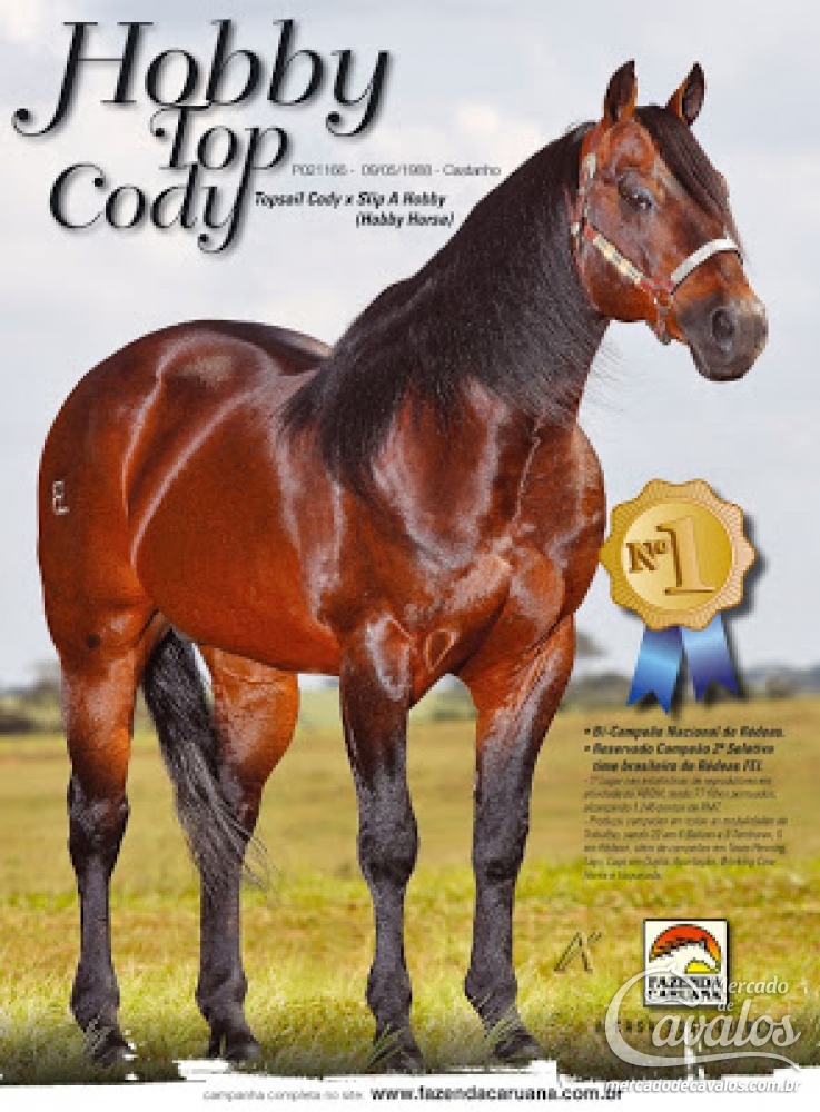 DASHINGLY TIMES FF X HOBBY TOP CODY