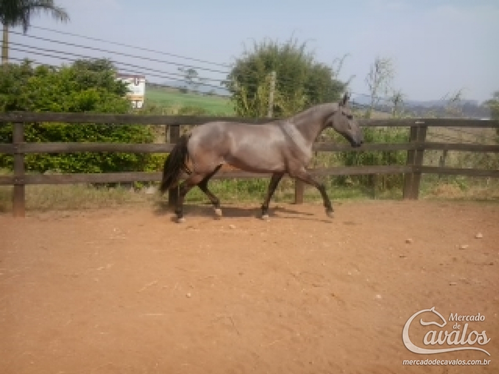 PATY MANDALA