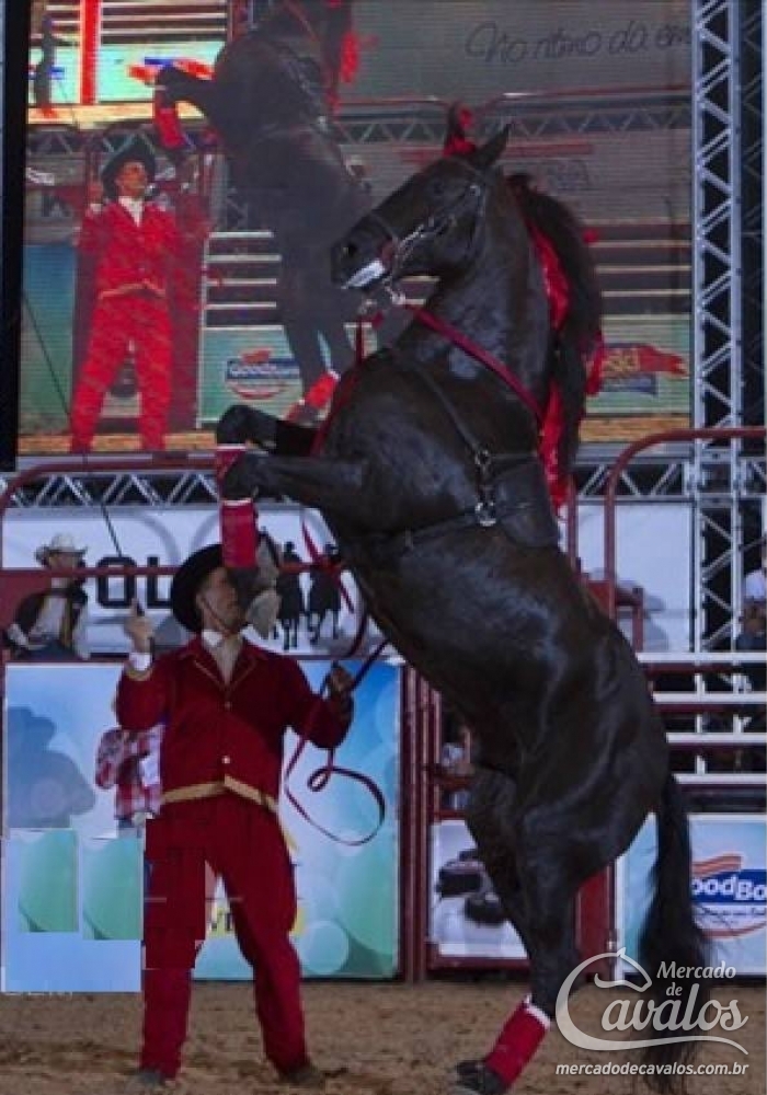 COMANCHE