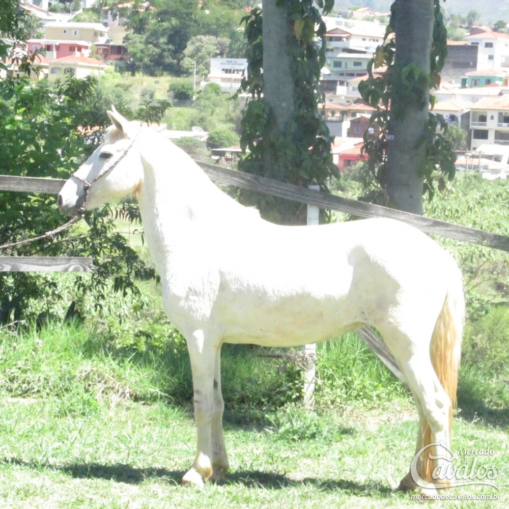 BRANCA DO LUTY
