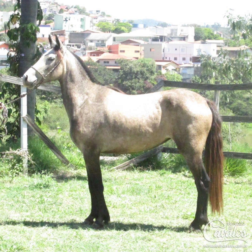 ASTURIA DO LUTY