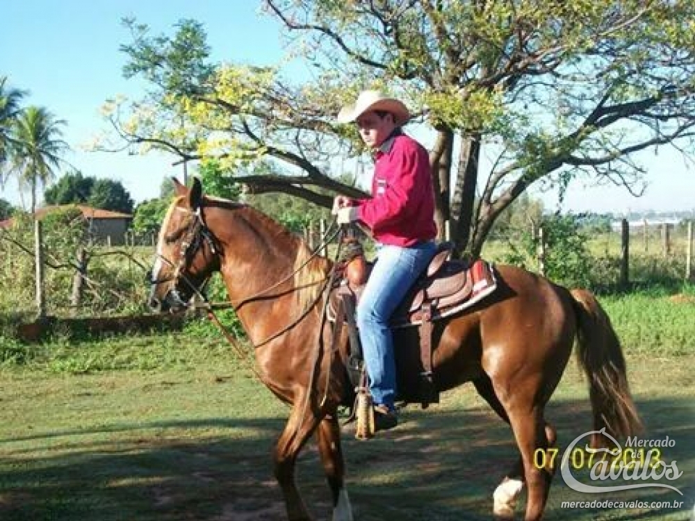 CASSINO