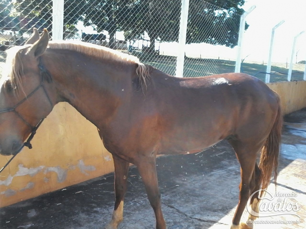 CASSINO