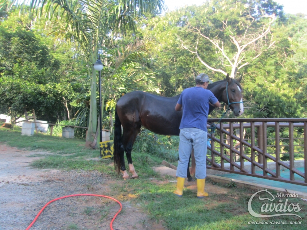 FURIEL INTERAGRO