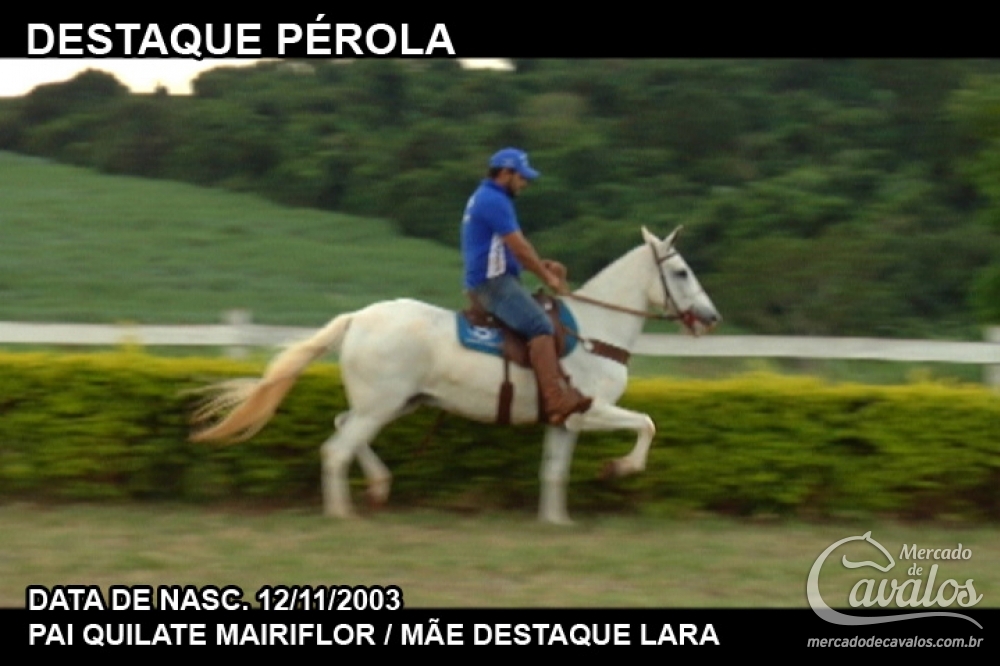 DESTAQUE PÉROLA