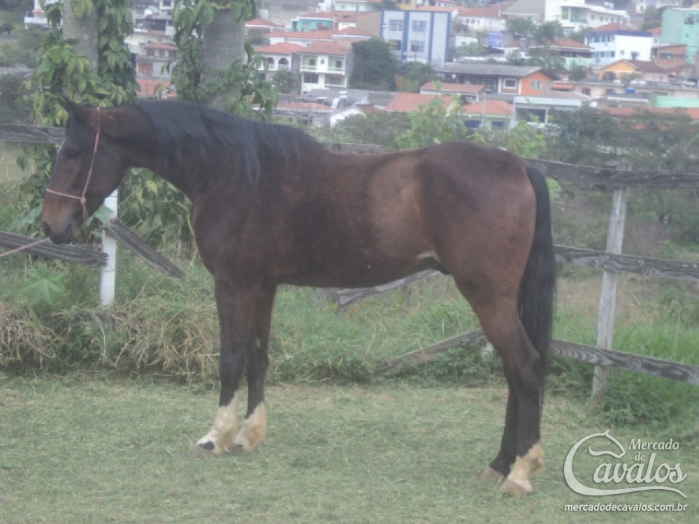 GARBOSO DO LUTY