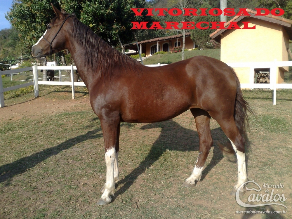 VITORIOSA DO MARECHAL