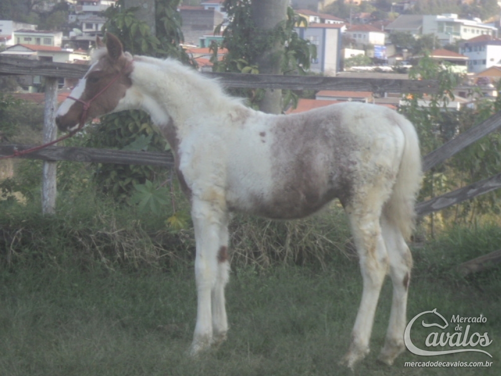 BARÃO AFN