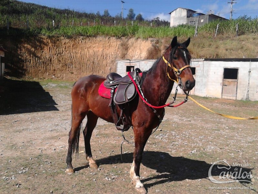 CORISCO DO JA