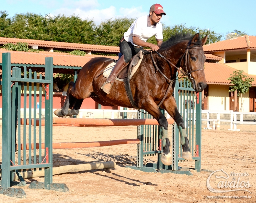 LARCK JB (PSI DE SALTO)