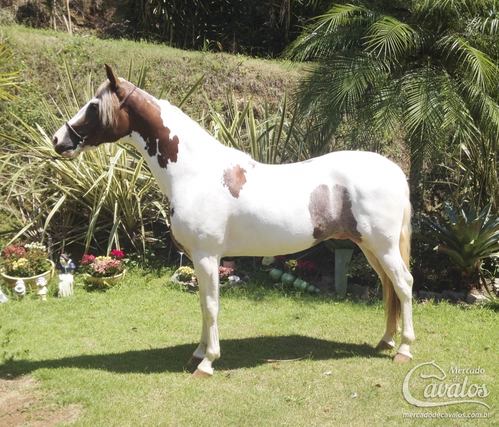 RF TRITON DE MOURA