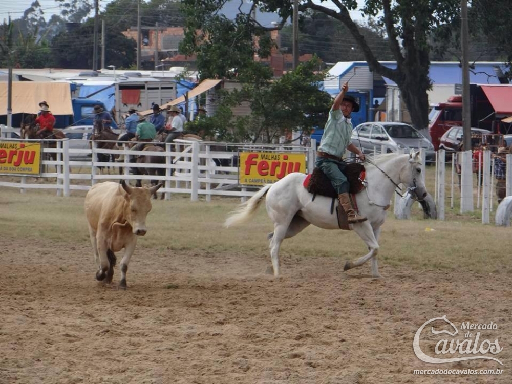 BOBINHA DA RDS