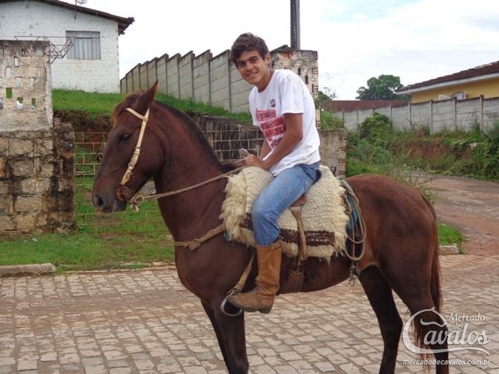 TCHUCO