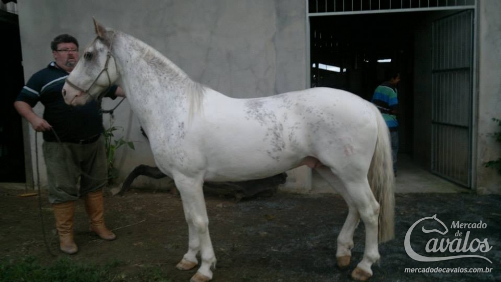 TARANCÓN RIVERO