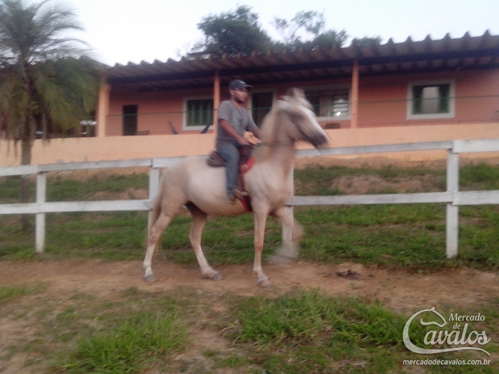 BAUXITA WBJ