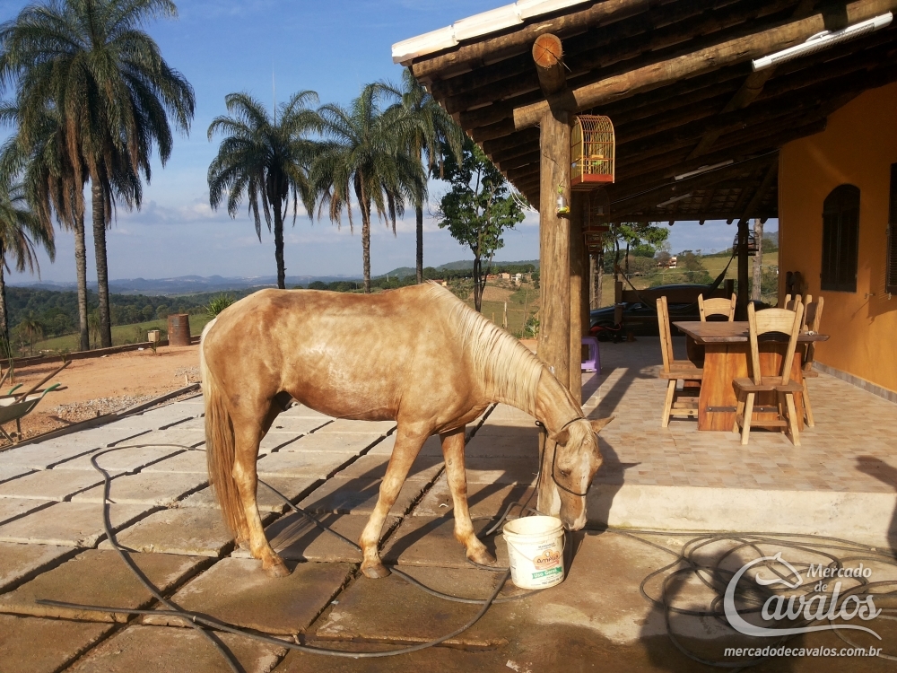 SERTÃO DO TERRA NOSSA