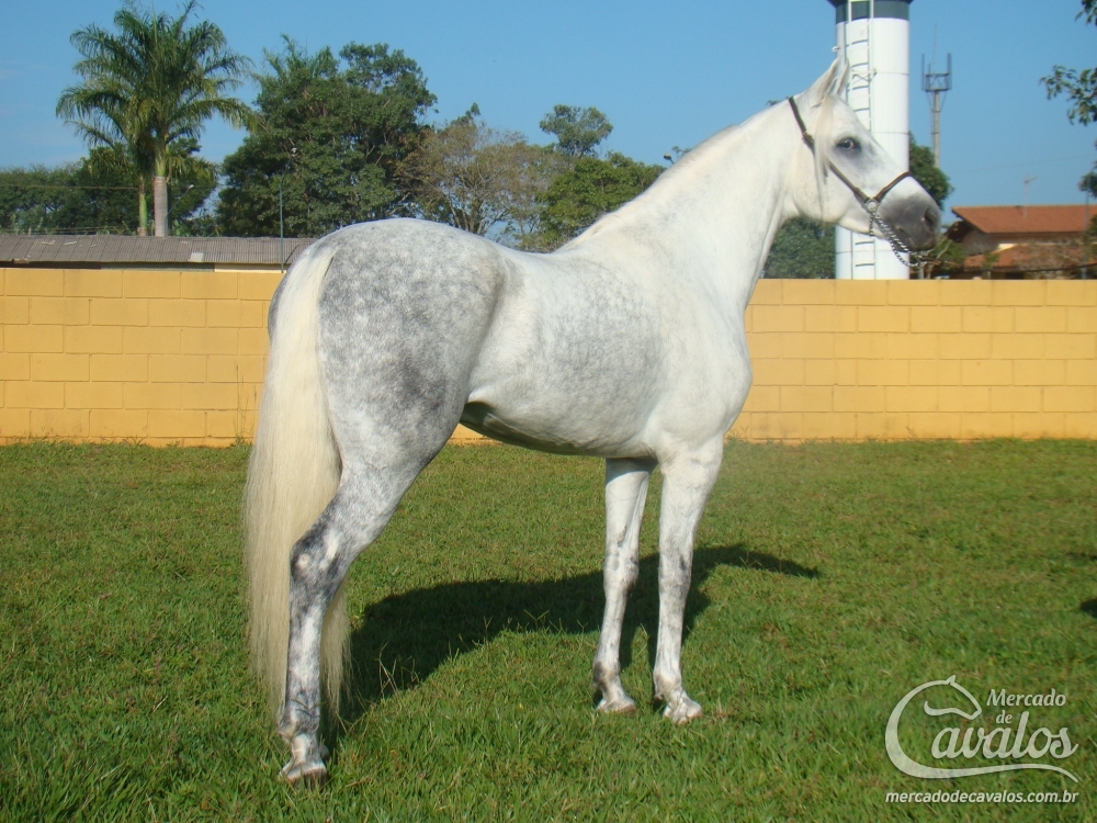 SULTÃO MINERO