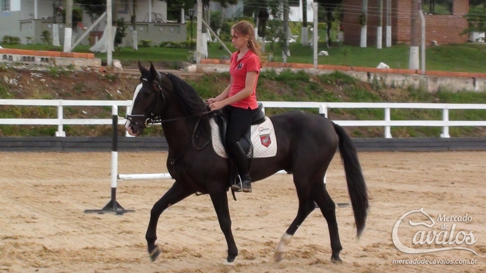ARTEMIS DA SASA