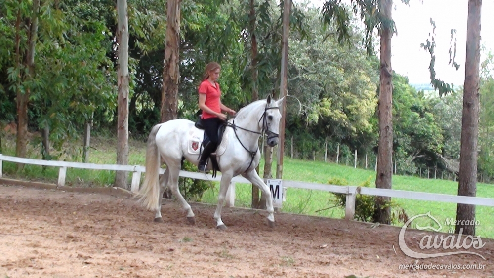 TOUREIRO DO TOP