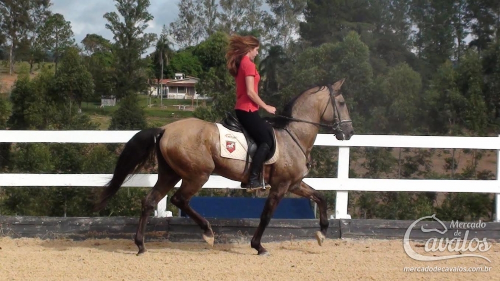 VALOROSO